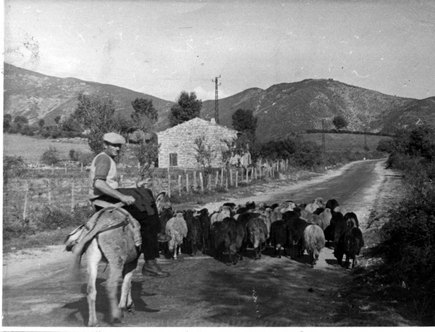 Da a piaghja à a muntagna... Da a piaghja à a muntagna...
