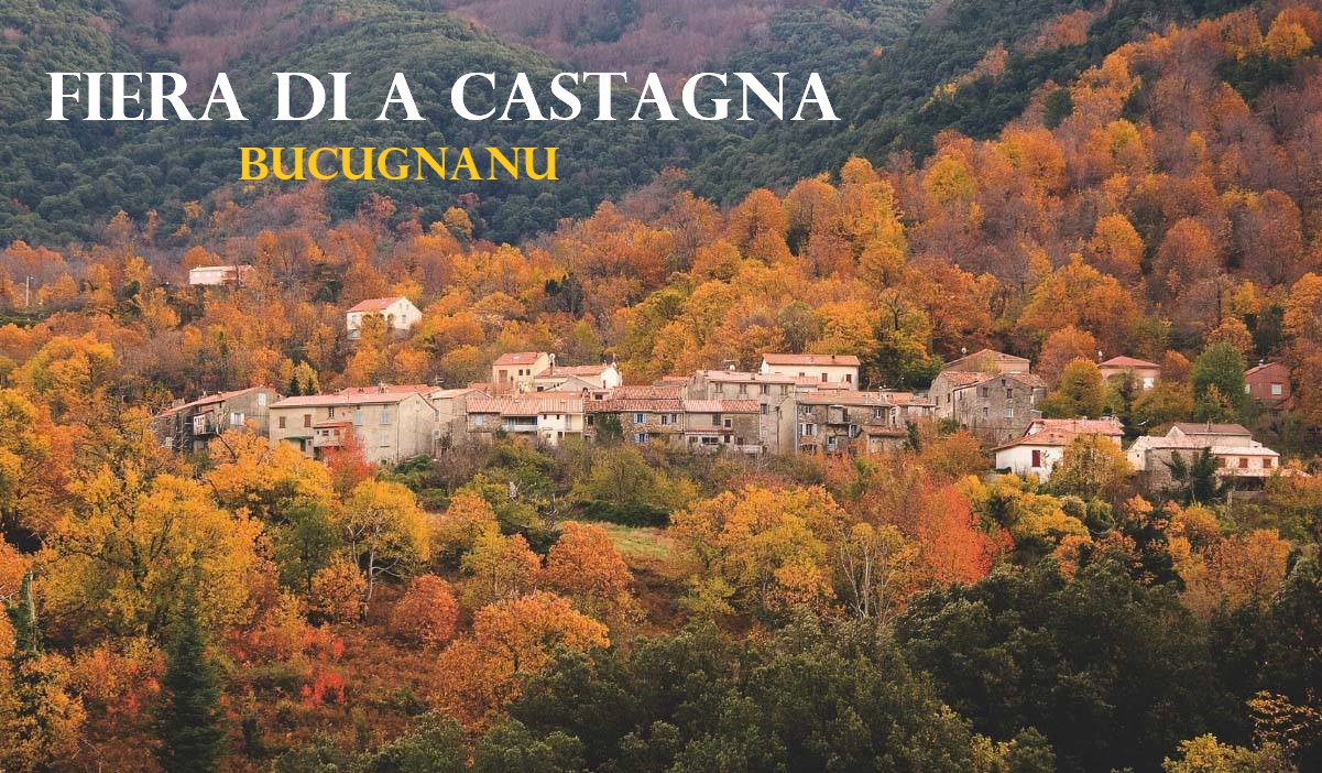 Communiqué annulation 2021 Communiqué annulation 2021