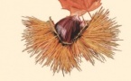 Scupriti u Prugramma