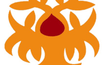 Résultats Tombola 2019