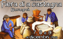 A Fiera di a castagna, da i pruduttori à i cunsumadori