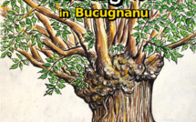 U Prugramma