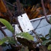 IMG_9572 IMG_9572